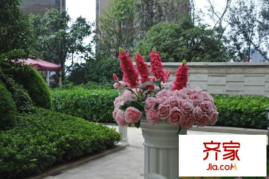 廣電蘭亭盛薈小區(qū)綠化（20150930）