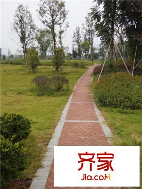 招商公園1872綠化實(shí)景（20140910）