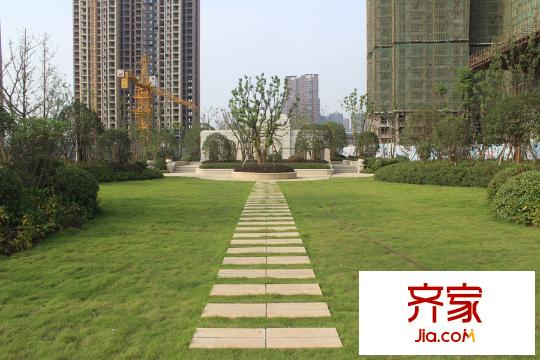 王家灣中央生活區(qū)景觀中軸綠化（20151009）