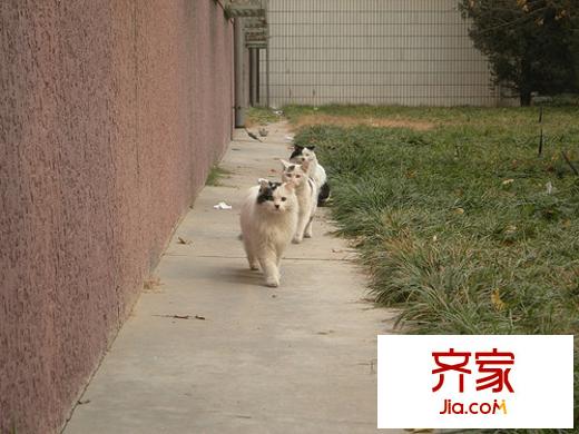 惠園大公館外景圖 