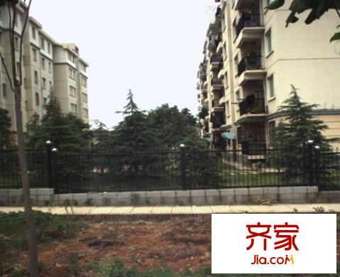 薛峰社區(qū)（還建房）外景圖