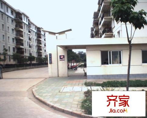 薛峰社區(qū)（還建房）外景圖