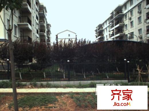薛峰社區(qū)（還建房）外景圖