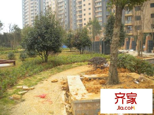 漢口湖畔小區(qū)綠化進展（20121022）