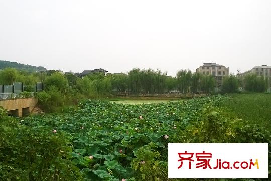 萬(wàn)博玖瓏灣周邊湖景局部