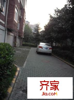 美城清芷園外景圖小區(qū)相關圖_10