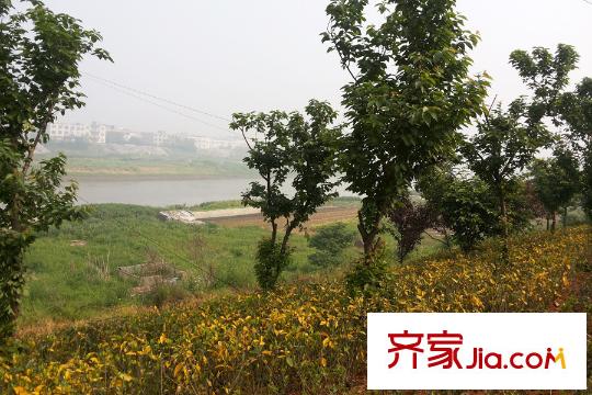 幸福灣周邊長(zhǎng)堤公園一景