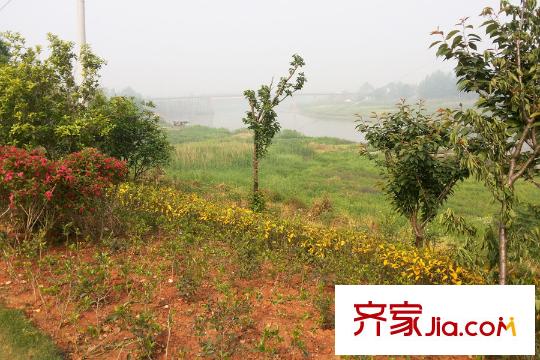 幸福灣周邊長(zhǎng)堤公園一側(cè)