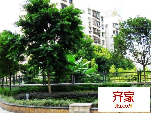 聚信廣場樓下綠化（20121203）