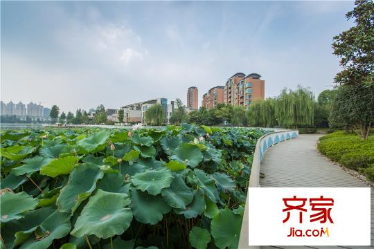 新世界夢湖香郡沿湖街道（20150808）