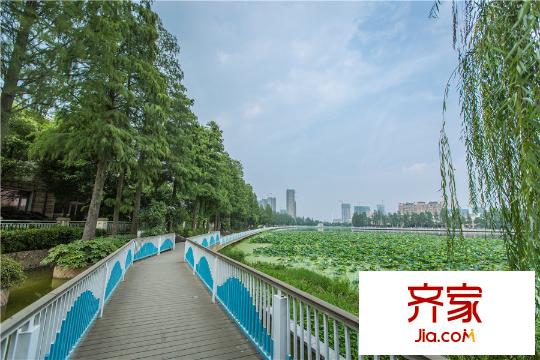新世界夢湖香郡湖邊走道（20150808）