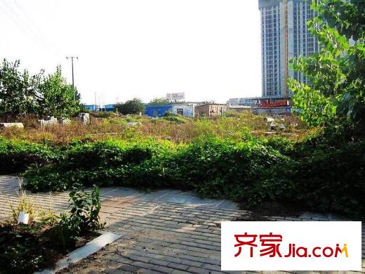 金地瀾菲溪岸周邊四新南路風(fēng)光