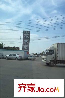 漢北璽園周邊花木市場
