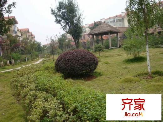 東方夏威夷國際花園別墅外景圖 