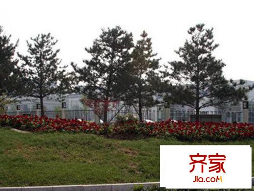 閩東國(guó)際城外景圖小區(qū)內(nèi)綠化（20100505）