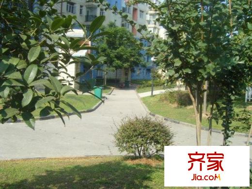 花前樹下外景圖   