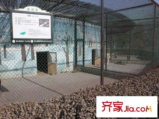 寶地家園配套圖周邊動物園