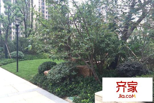 廣電蘭亭時代小區(qū)園林（20150805）