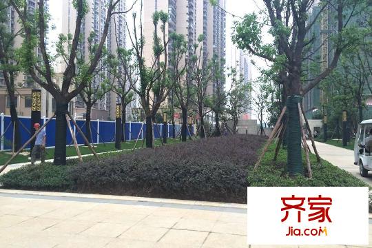 廣電蘭亭時代園林（20150805）