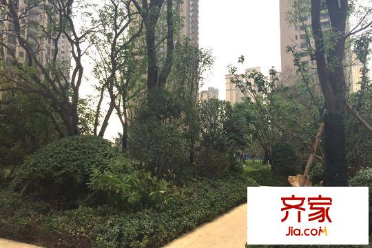 廣電蘭亭時代項(xiàng)目園林（20150805）