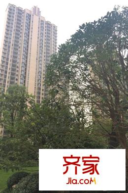 廣電蘭亭時代小區(qū)樓棟（20150805）