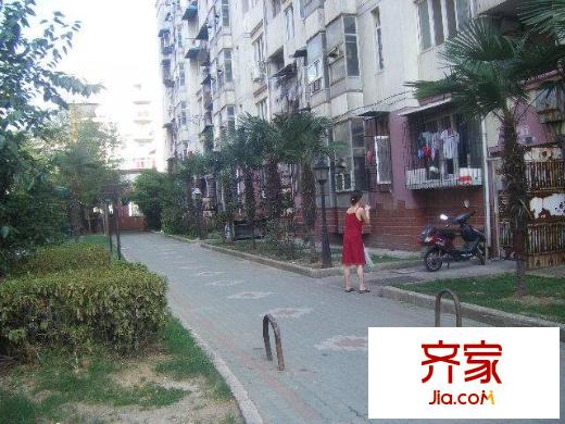 桃花島城市花園外景圖 