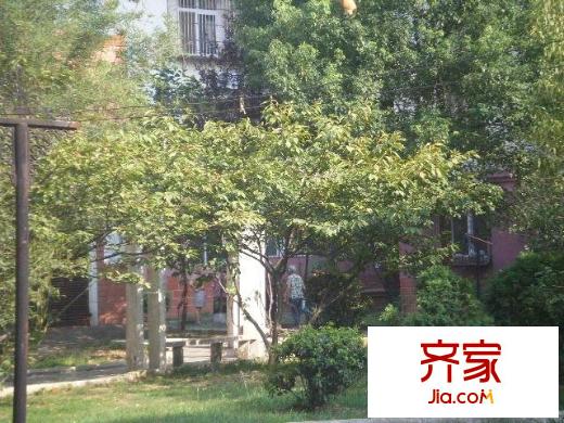 桃花島城市花園外景圖 