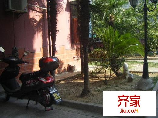 桃花島城市花園外景圖 
