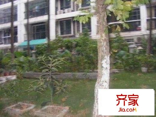 新地東方花都外景圖小區(qū)相關圖_7