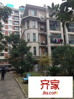 東方萊茵外景圖 