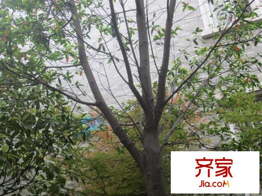 七里晴川外景圖602棟