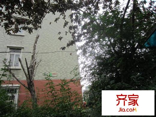 七里晴川