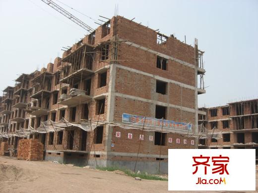 純境實景圖20100811實景
