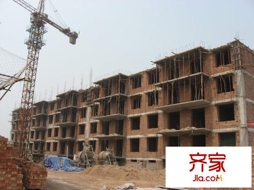 純境實景圖20100811實景0