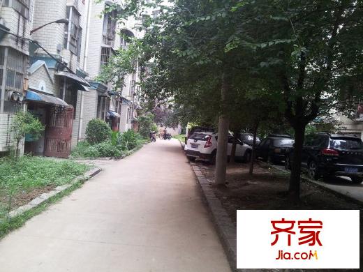 云鶴小區(qū)外景圖 