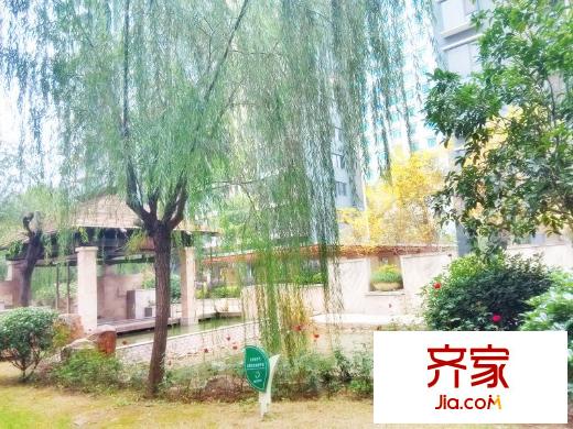 三金鑫城國(guó)際外景圖 