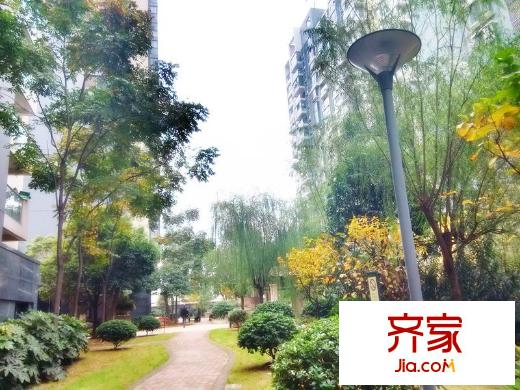 三金鑫城國(guó)際外景圖 