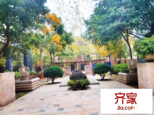 三金鑫城國(guó)際外景圖 