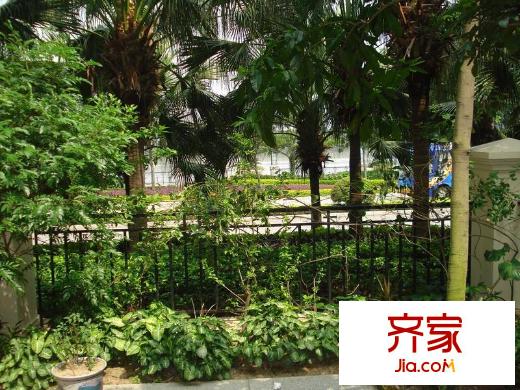薇彩雅苑外景圖太原  戶型圖