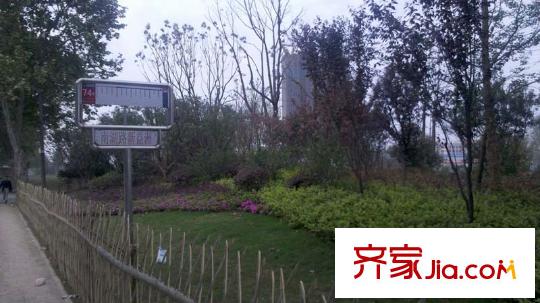 保利公園九里周邊公交站牌