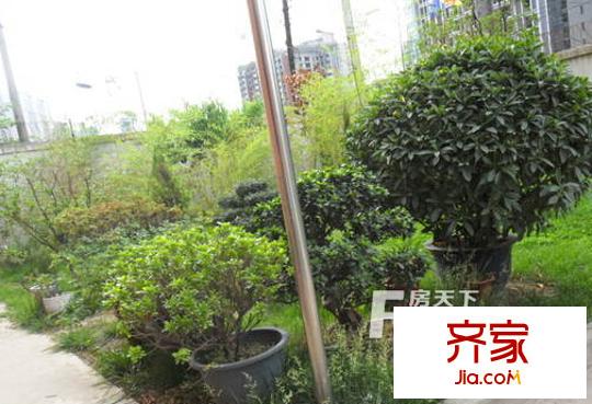 桃園北路東社區(qū)外景圖太原  