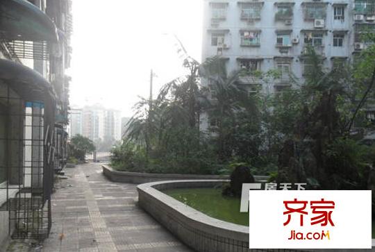 桃園北路東社區(qū)