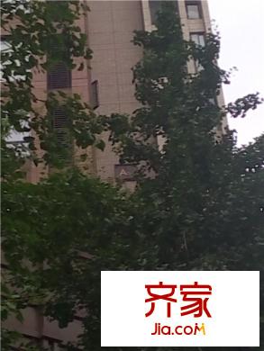 大華南湖公園世家三期外景圖 