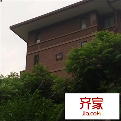 大華南湖公園世家三期