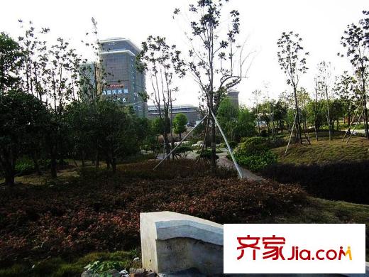 綠地中央廣場(chǎng)周邊四新南路一角