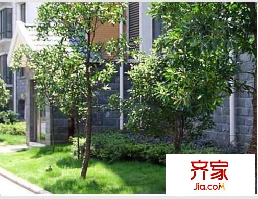 光谷佳園外景圖 