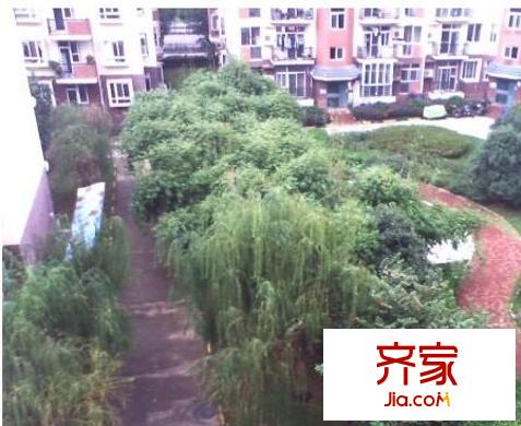 光谷佳園