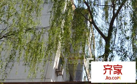煤炭管理干部學(xué)院新區(qū)宿舍外景圖太原  