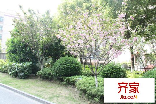 興華嘉天下外景圖  