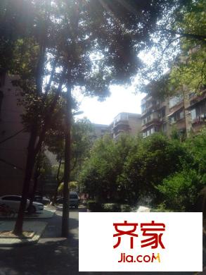 梅苑小區(qū)外景圖 